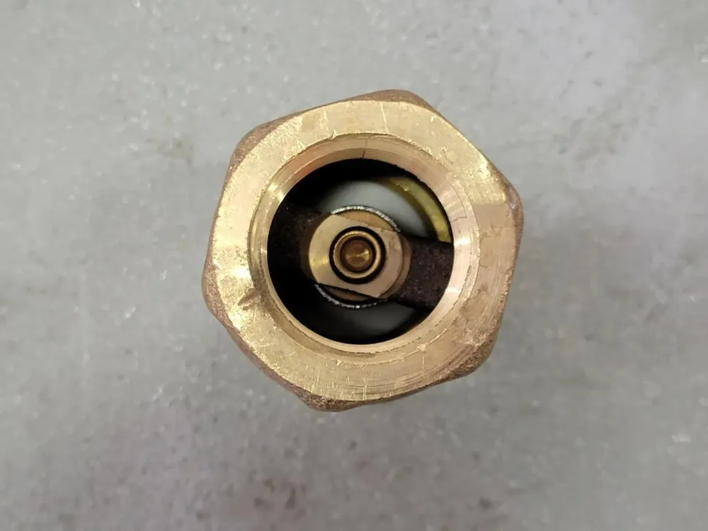 1" FNPT Threaded Warm brons Check Valve 90AR1136