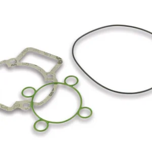 Kit completo juntas Malossi para grupo térmico Ø 47