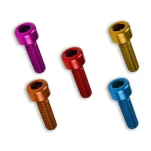 Kit 6 tornillos allen c/cilindrica M5x30. Oro