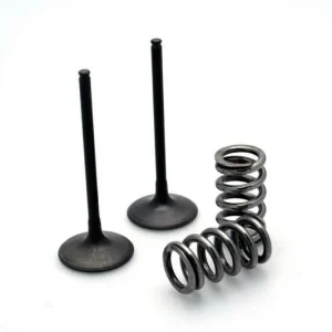Kit de válvula acero y muelle Prox admisión Kawasaki 28.SIS4409-2