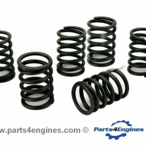 Perkins 422GM Valve Spring Set