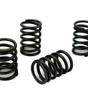 Perkins M20 Valve Spring Set (198217070)