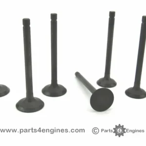 Perkins M25 Cylinder Head Valve Set