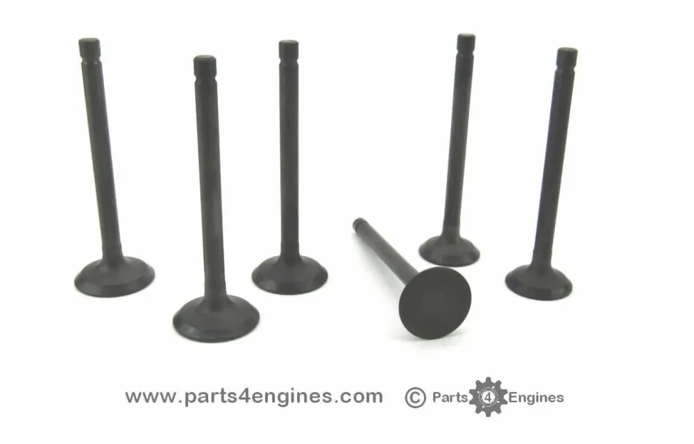 Perkins M25 Cylinder Head Valve Set