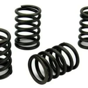 Perkins Perama M30 Valve Spring Set