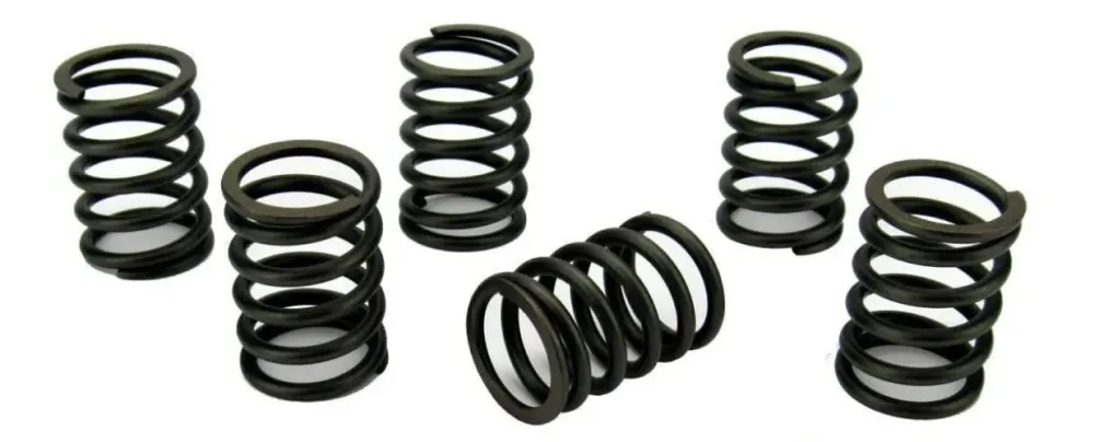 Perkins Perama M30 Valve Spring Set