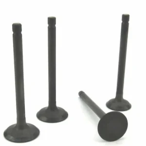 Volvo Penta D1-13 Cylinder Head Valve Set