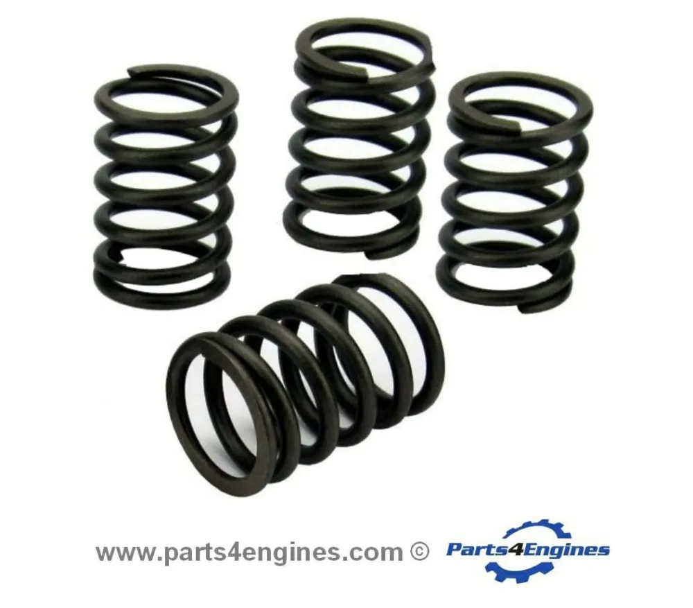 Volvo Penta D1-13 Valve Spring Set
