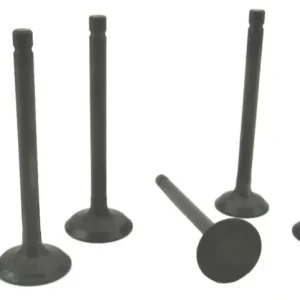Volvo Penta D1-20 Cylinder Head Valve Set