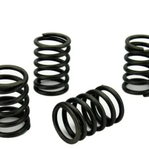 Volvo Penta D1-20 Valve Spring Set (861861)