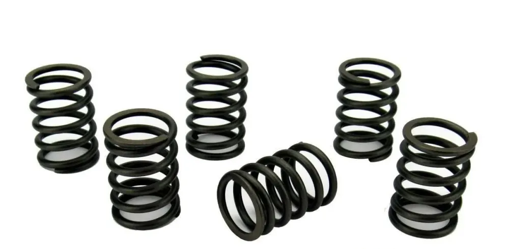 Volvo Penta D1-20 Valve Spring Set (861861)