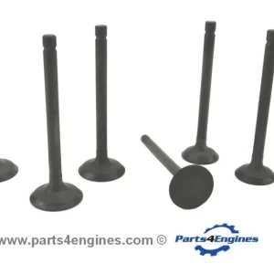 Volvo Penta D1-30 Cylinder Head Valve Set