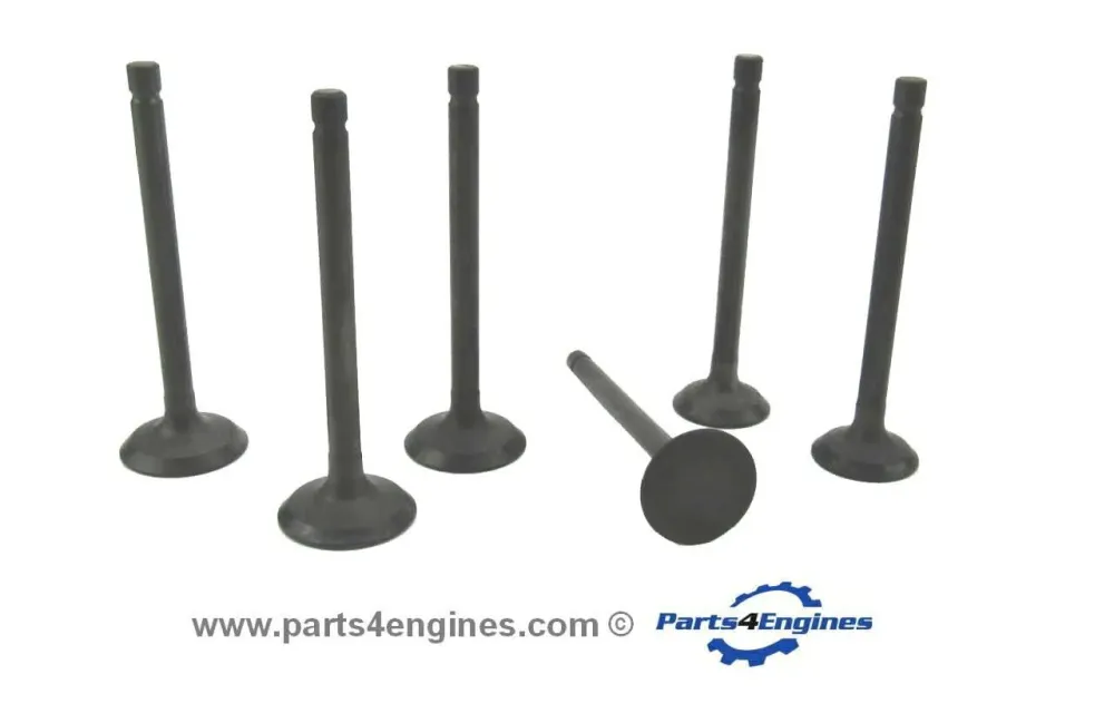 Volvo Penta D1-30 Cylinder Head Valve Set