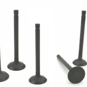 Volvo Penta D2-40 Cylinder Head Valve Set