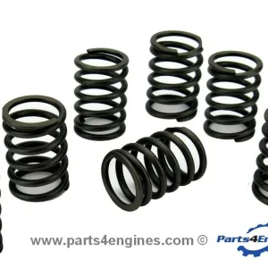 Volvo Penta D2-40 Valve Spring Set (3580964)