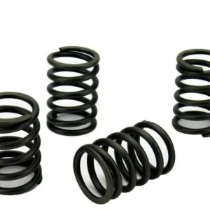 Volvo Penta MD2020 Valve Spring Set (861861)