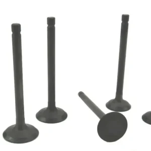 Volvo Penta MD2030 Cylinder Head Valve Set.