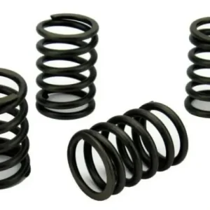 Volvo Penta MD2030 Valve Spring Set (3580964)