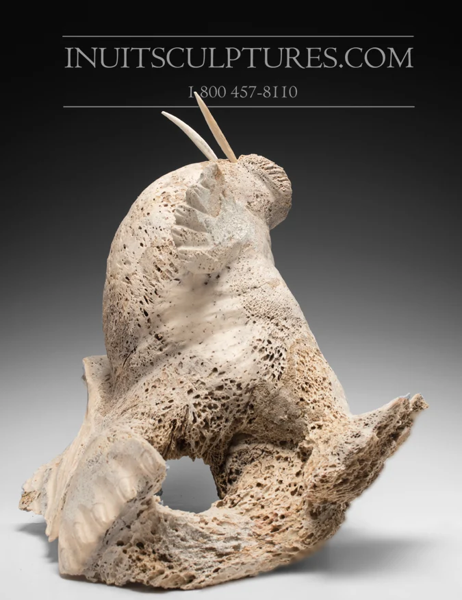 Adapter- 18" Walrus Jaco Ishulutak *Sun Bather*