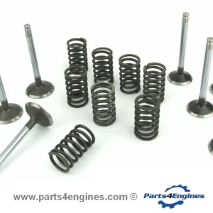 Heavy Duty Volvo Penta TMD22 Valve & Spring Set