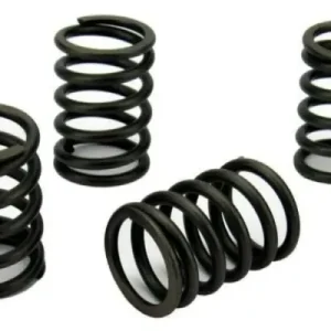 Volvo Penta D1-30 Valve Spring Set (3580964)