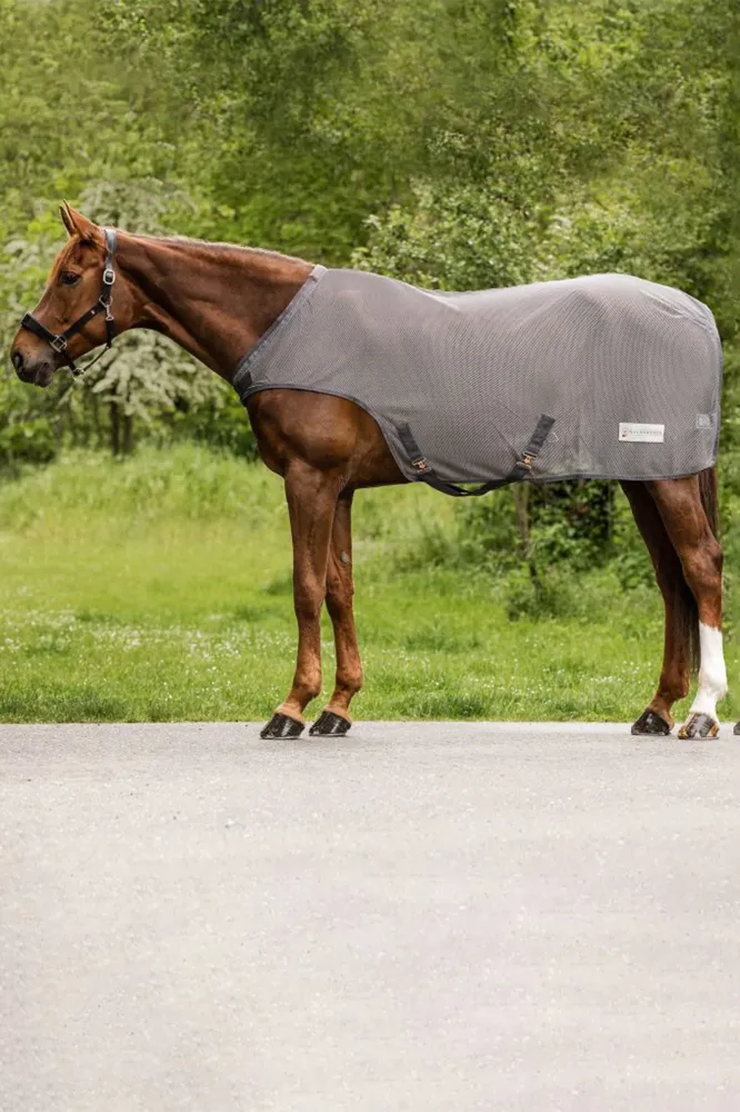 Comfort Fly-Horse Walker Rug grey 155