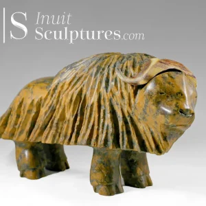 12" Sleepy Muskox Gjoa Haven Louie Uttaq