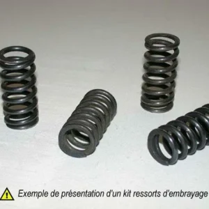 Kit de muelles de embrague ZX9R '98-03 Z1000 '03-06 HSP-408-5 matte afwerking