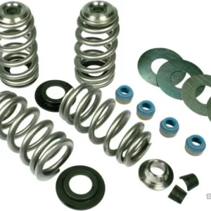 Endurance Beehive Valve Spring Kit Harley-Davidson