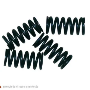 Kit de muelles de embrague CBF1000 '06-07 22401-MCH-000 HSP-149-5