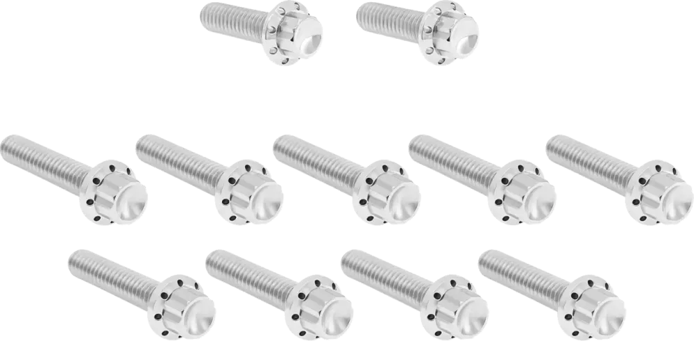 Kit Tornillos Titanio Plateado Tapa De Leva Para Harley Davidson M8 24-25