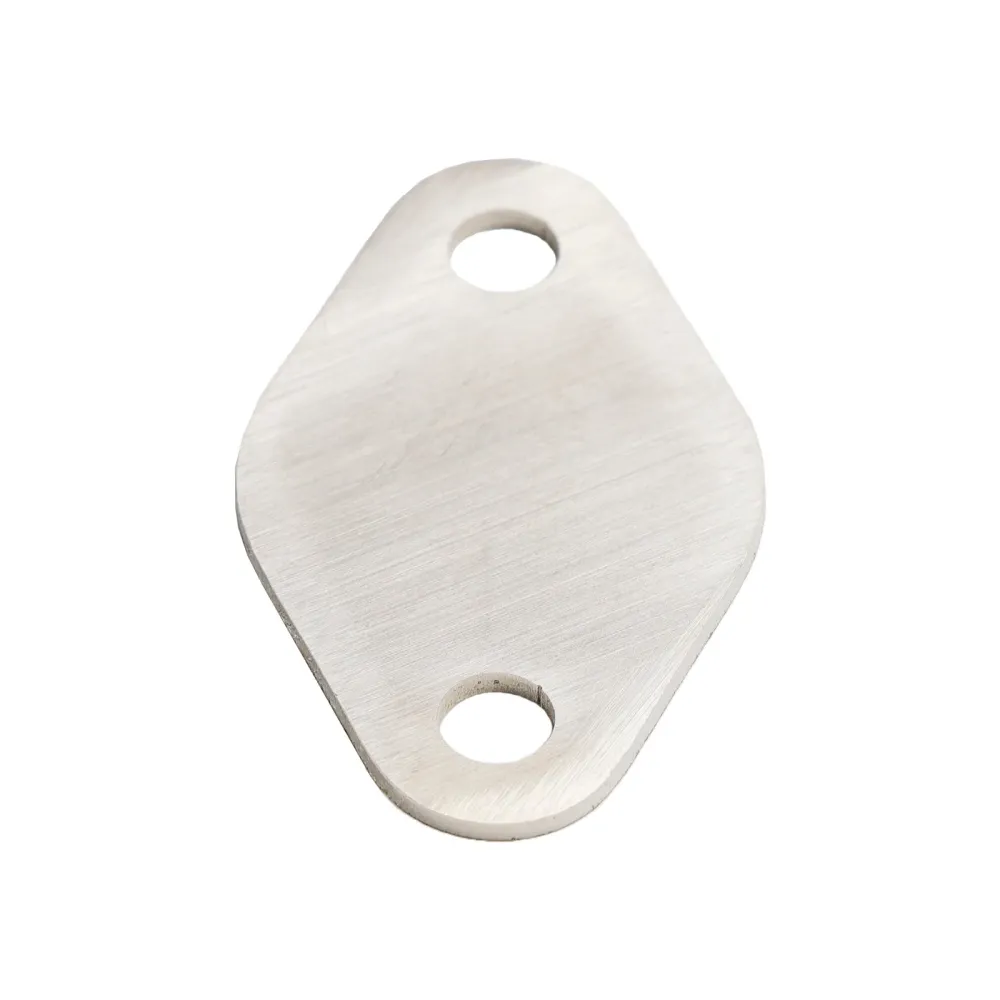 Audi Common rail S/S EGR-klepblokplaat