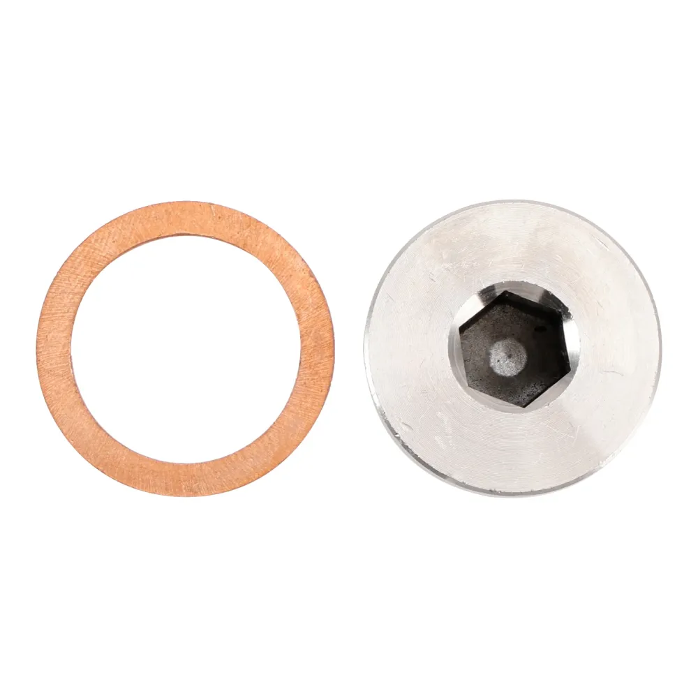 M18 x 1,5 mm binnenzeskantkopsensor afdekdop 304 roestvrij staal, 5 stuks