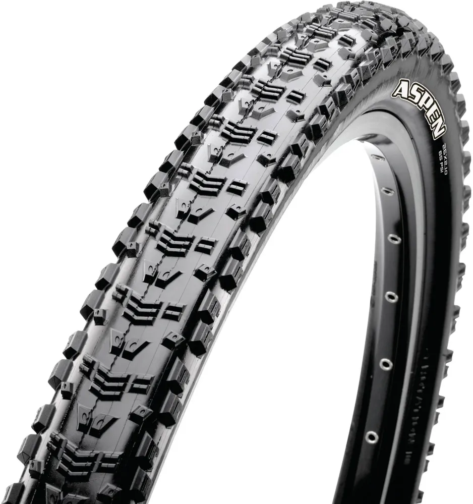Maxxis Aspen vouwband 29x2.25" Dual EXO TR zwart