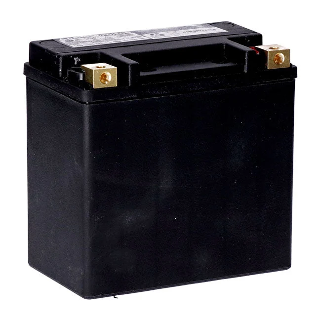 MCS 12V AGM accu 14Ah 240CCA