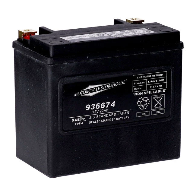 MCS 12V AGM accu 22Ah 325CCA