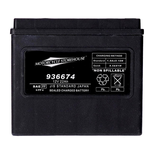 MCS 12V AGM accu 22Ah 325CCA
