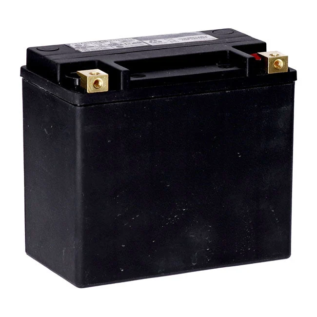 MCS 12V AGM accu 22Ah 325CCA