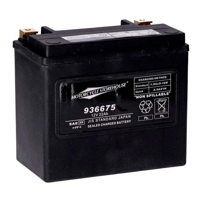 MCS 12V AGM accu 22Ah links+ 325CCA