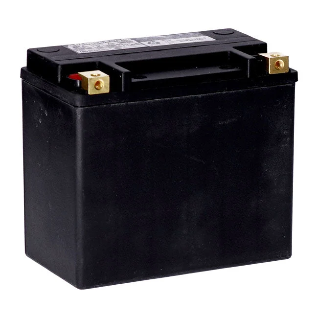 MCS 12V AGM accu 22Ah links+ 325CCA