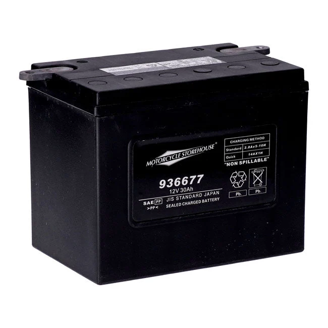 MCS 12V AGM accu 30Ah 370CCA
