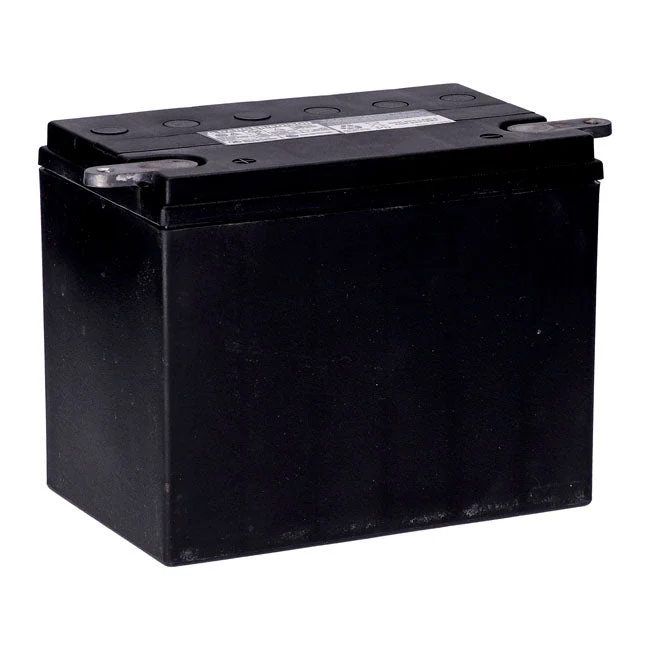MCS 12V AGM accu 30Ah 370CCA