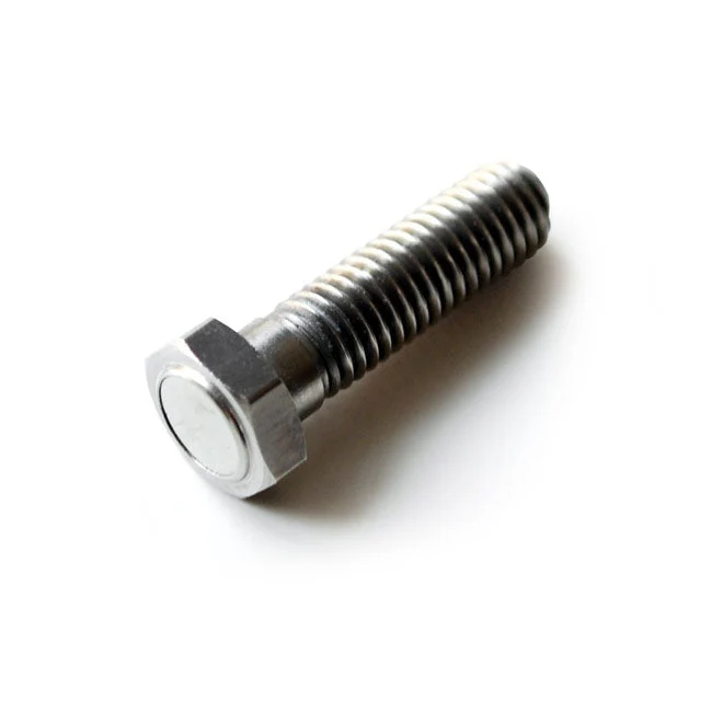 Motogadget Magneetbout M8