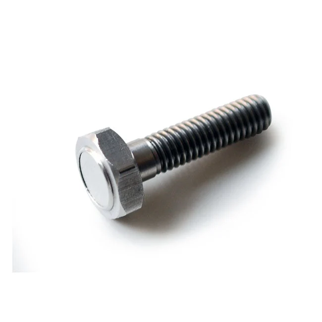 Motogadget Magneetbout M6