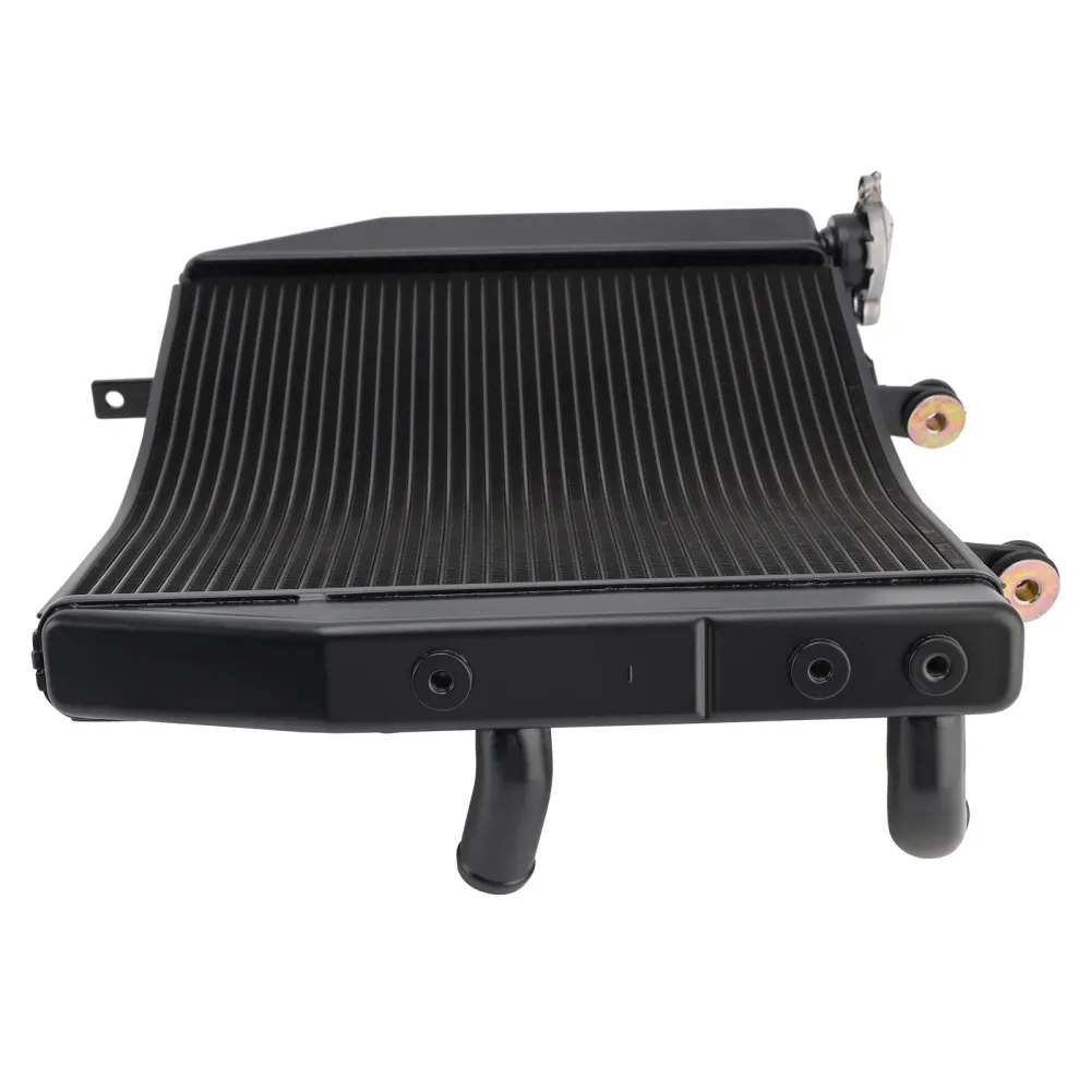 Radiatorkoeling Motorkoeler Geschikt voor Street Triple 765 R RS 2020-2022