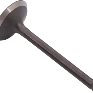 TILLOTSON KLEP INLAAT SM