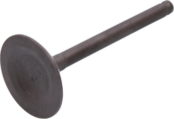 TILLOTSON KLEP INLAAT SM