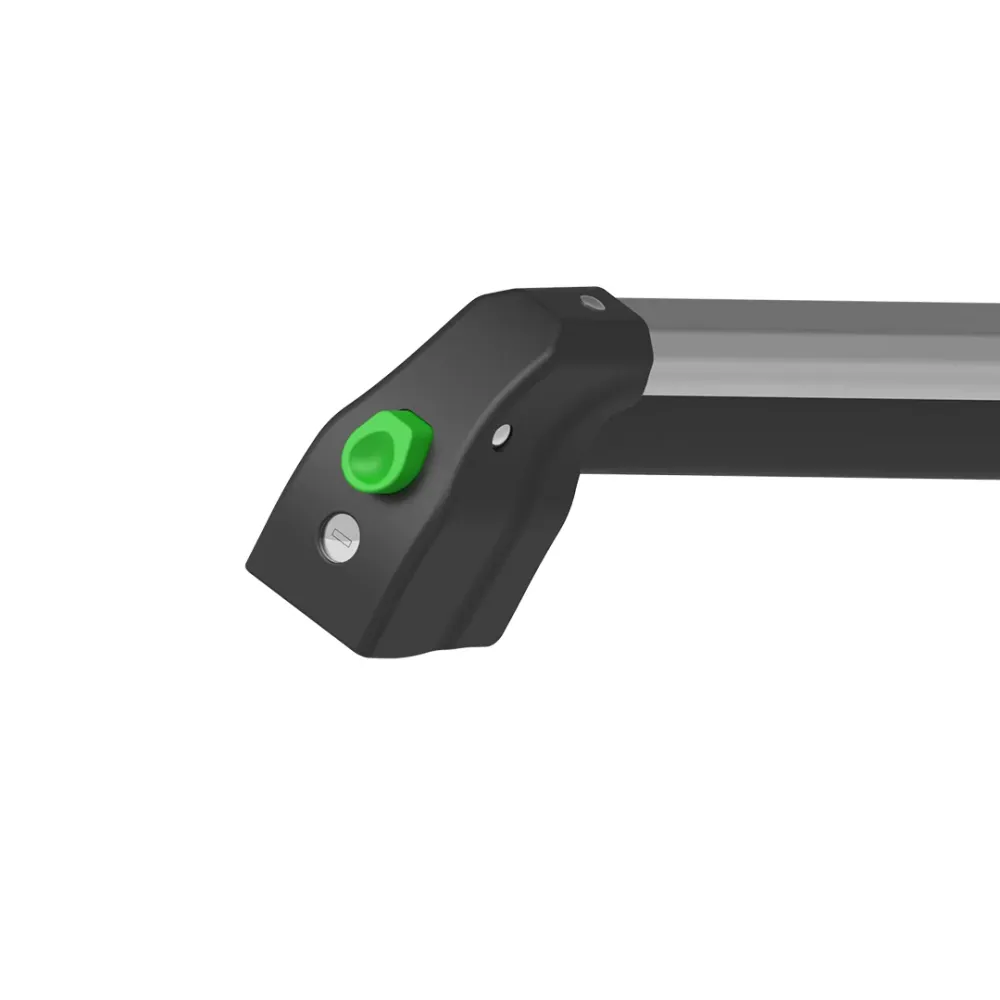 TreeFrog Ski&Snowboard 365 H Rack Tree Frog