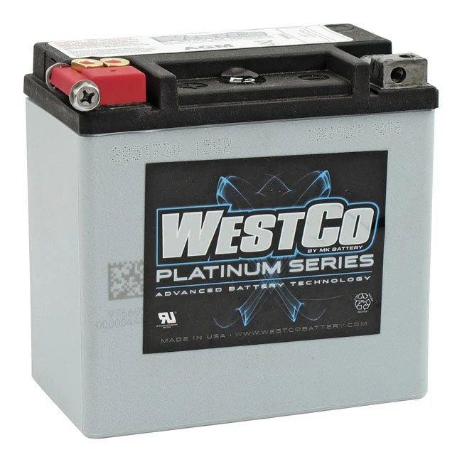 Westco AGM accu 12 Volt 12Ah 220CCA