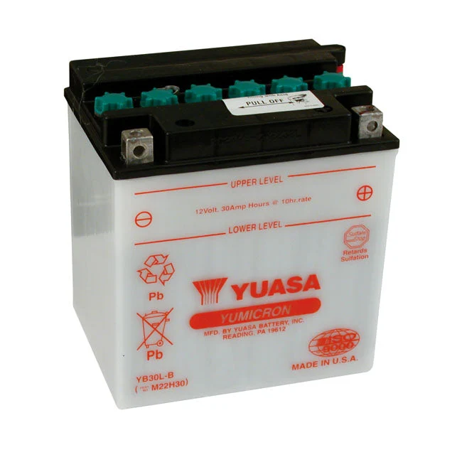 Yuasa Yumicron 12V loodzuuraccu 30Ah 300CCA